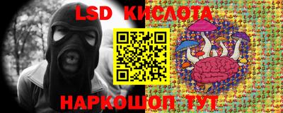 эйфоретик Бузулук