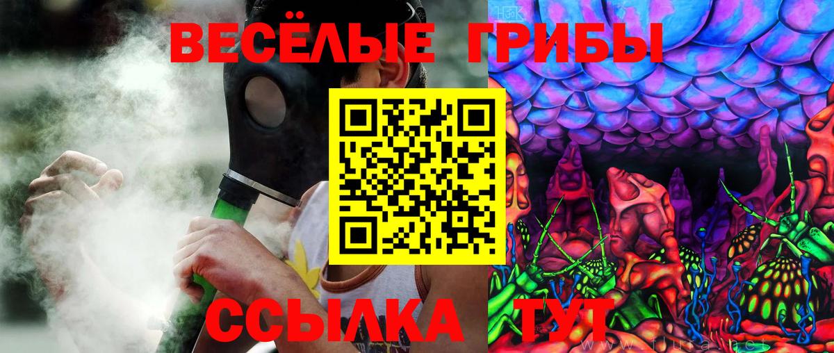 Галлюциногенные грибы мицелий  Галлюциногенные грибы прущие грибы  Вход с VPN  Кунгур 